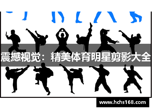 震撼视觉：精美体育明星剪影大全